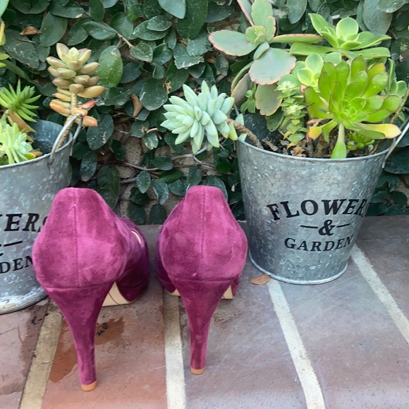 New Violet & Red Suede pumps
Color burgundy
Size 7 - Picture 4 of 9
